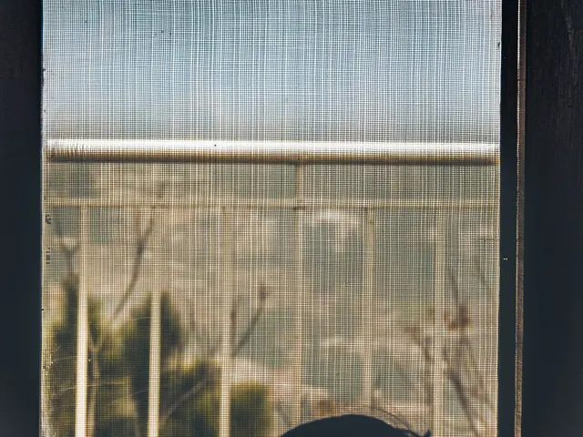 Vista a través de una mosquitera